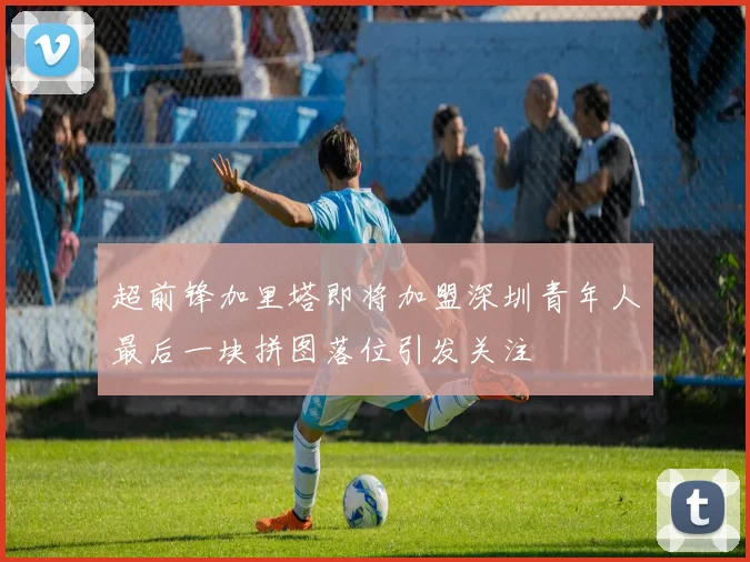 超前锋加里塔即将加盟深圳青年人最后一块拼图落位引发关注