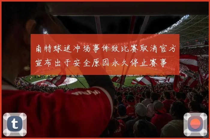 南特球迷冲场事件致比赛取消官方宣布出于安全原因永久停止赛事