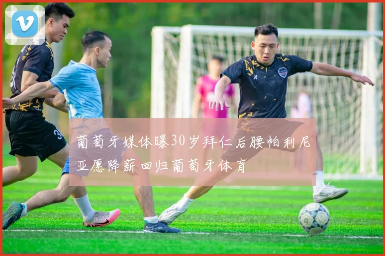 葡萄牙媒体曝30岁拜仁后腰帕利尼亚愿降薪回归葡萄牙体育